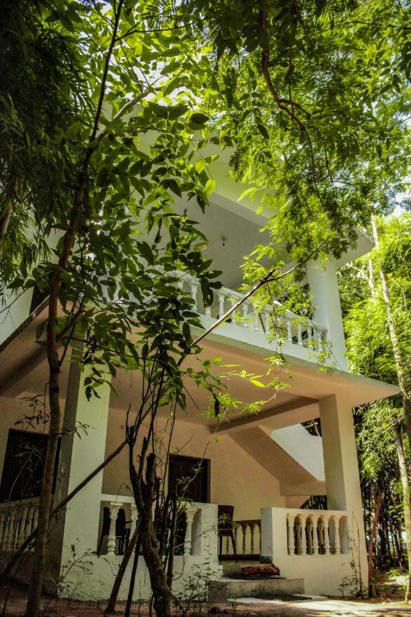 Panna Tiger Resort- Riverside Property Rajgarh  Экстерьер фото