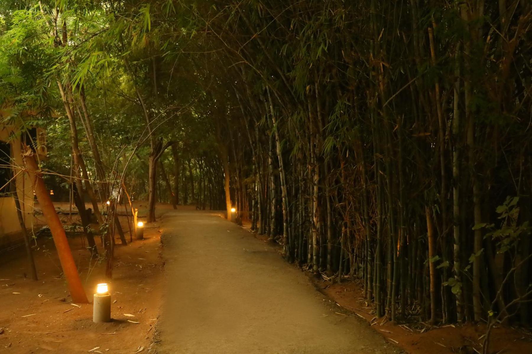 Panna Tiger Resort- Riverside Property Rajgarh  Экстерьер фото